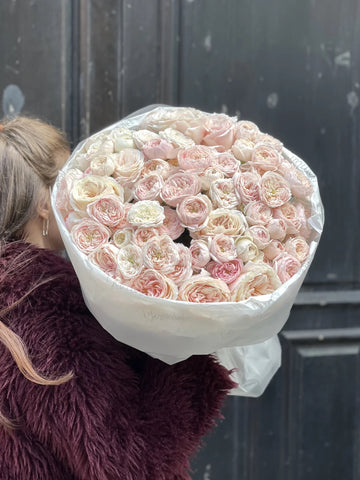 Shimmer & Grace Collection