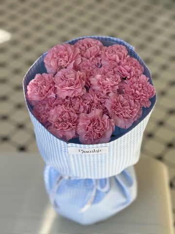 Pink Carnations in Plombir Fabric