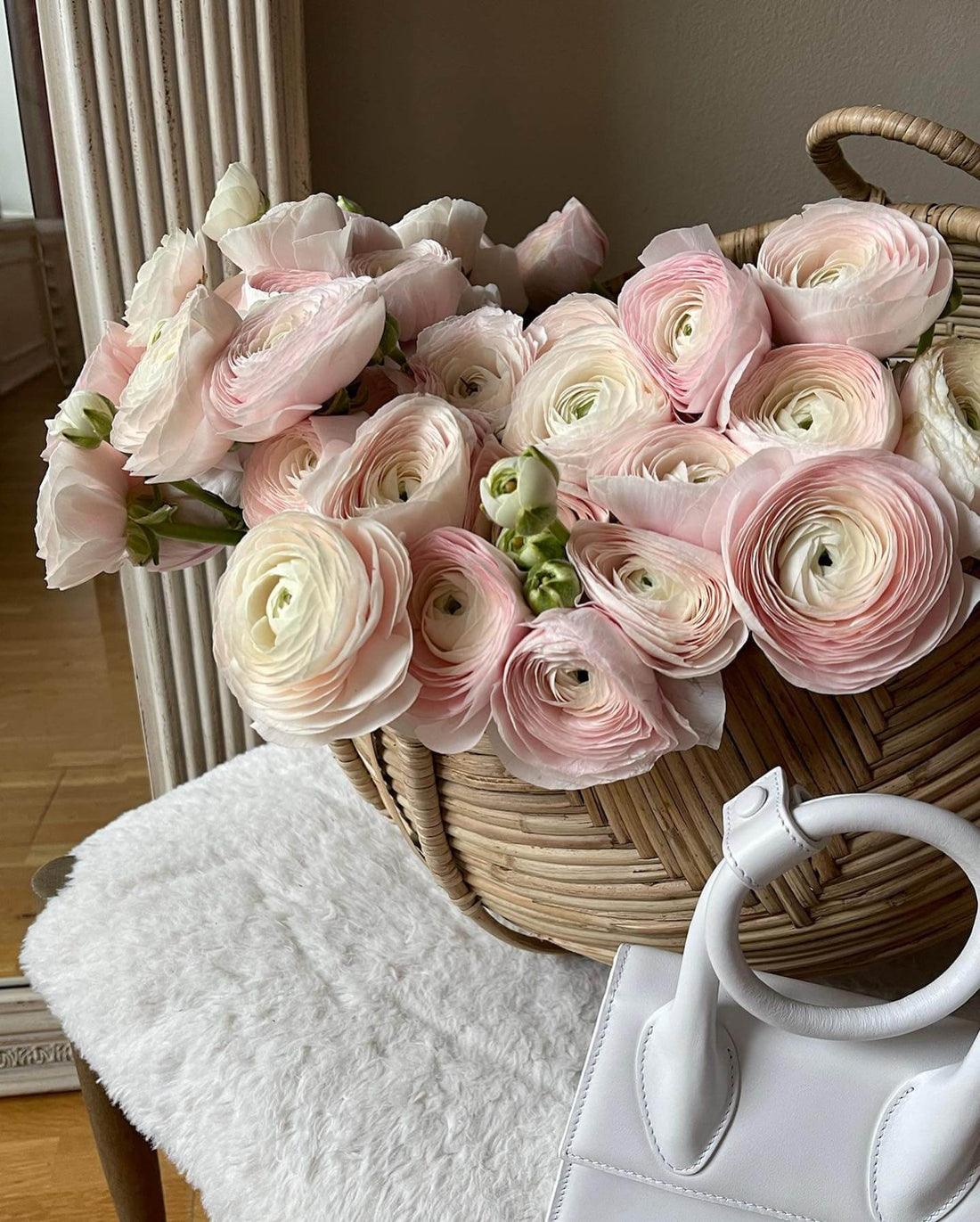 Ranunculus Romance