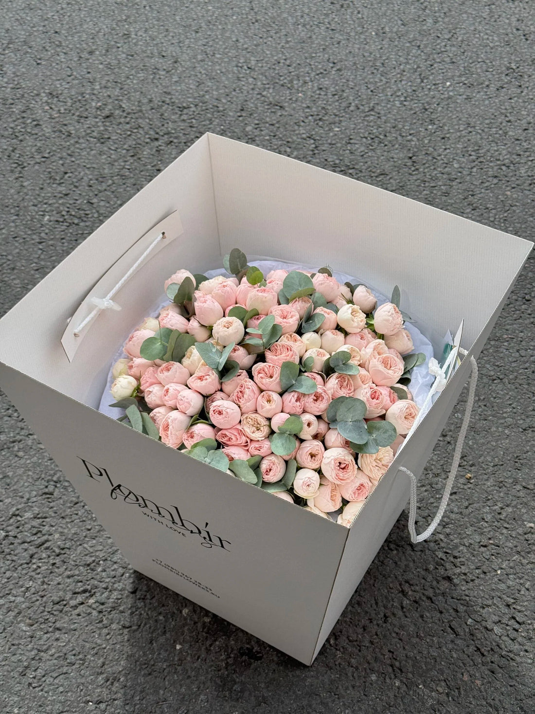 Garden Blush Roses with Eucalyptus Mist