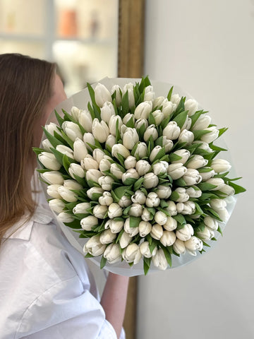 Pristine Tulip Symphony