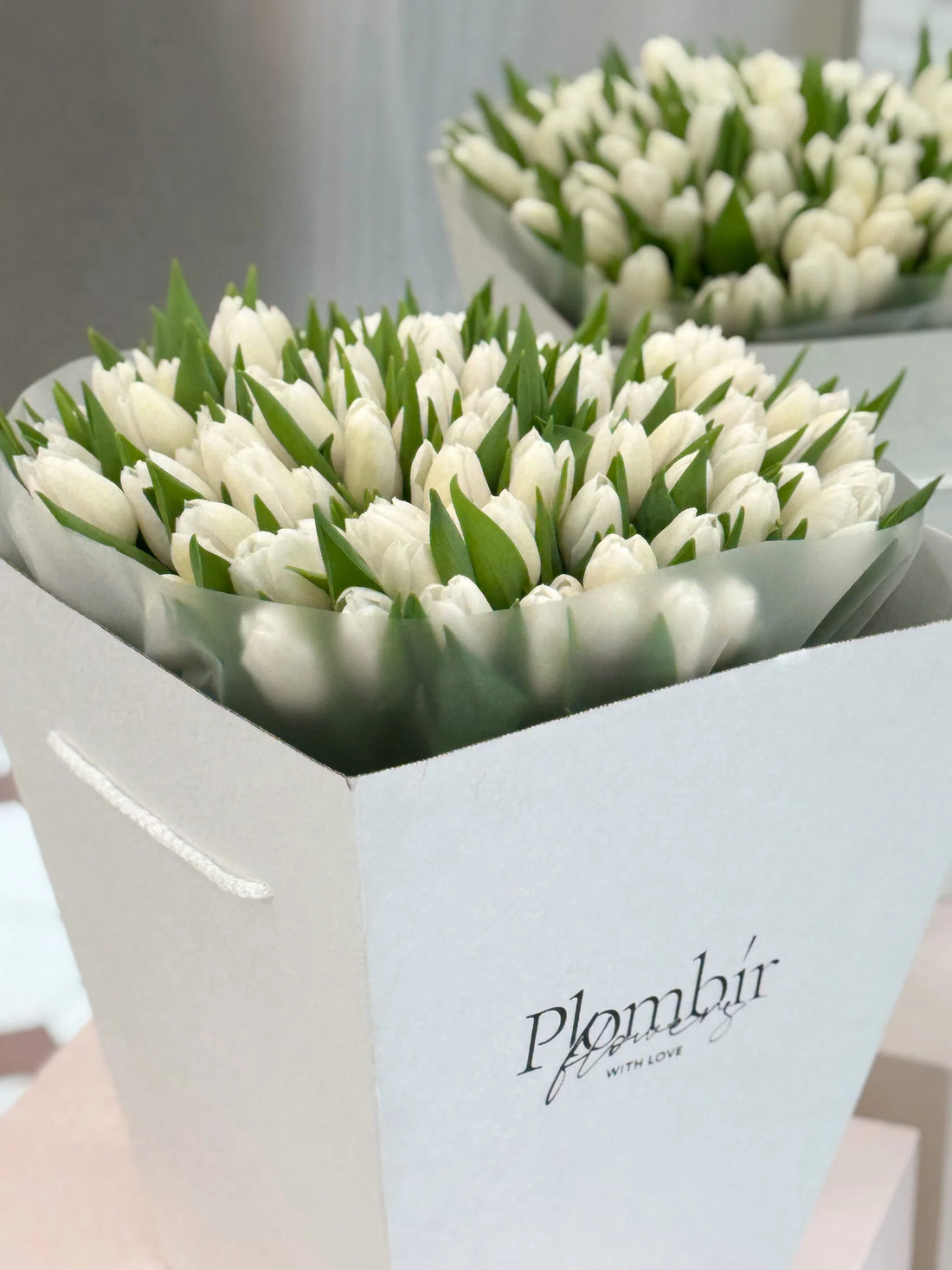 Pristine Tulip Symphony