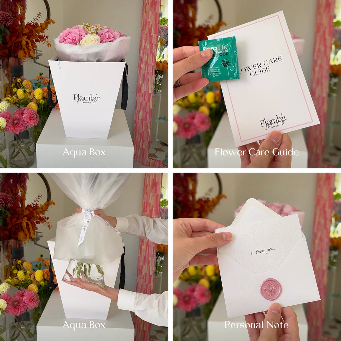 Shimmer & Grace Collection